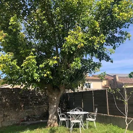 Le Joli Bleu & De St Pierre